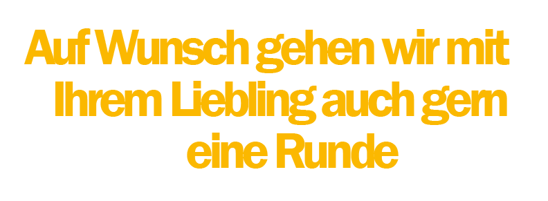 Auf Wunsch gehen wir mit Ihrem Liebling auch gern eine Runde Gassi.