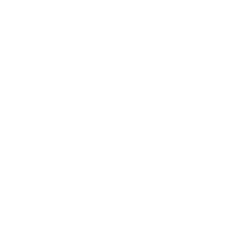 Symbol eines stilisierten Globus mit der Aufschrift „WWW“ in der Mitte