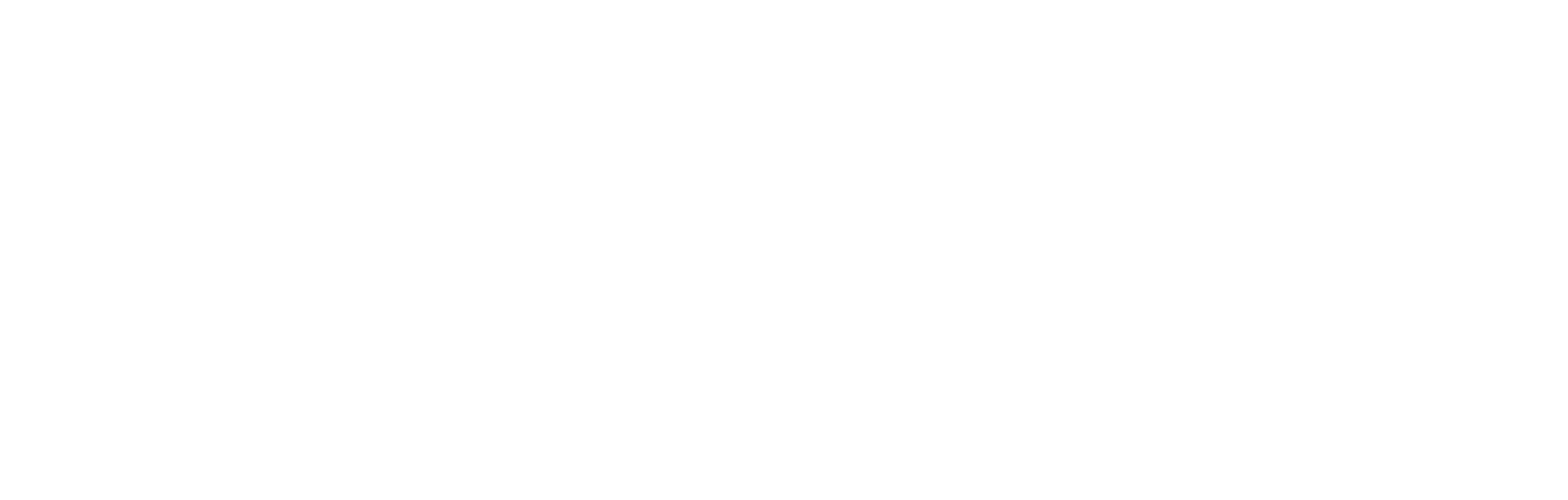 Logo mit der Aufschrift „BrauerSchmaus“